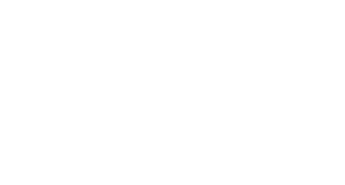 PFI Plumbing Logo White